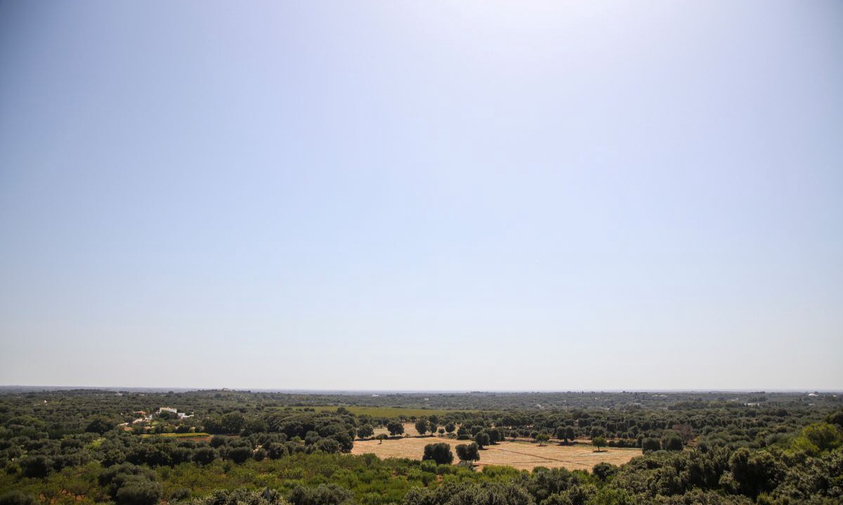 Photo of Others in Ceglie Messapica