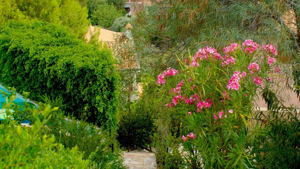 Photo of Outdoor in Eden Rock