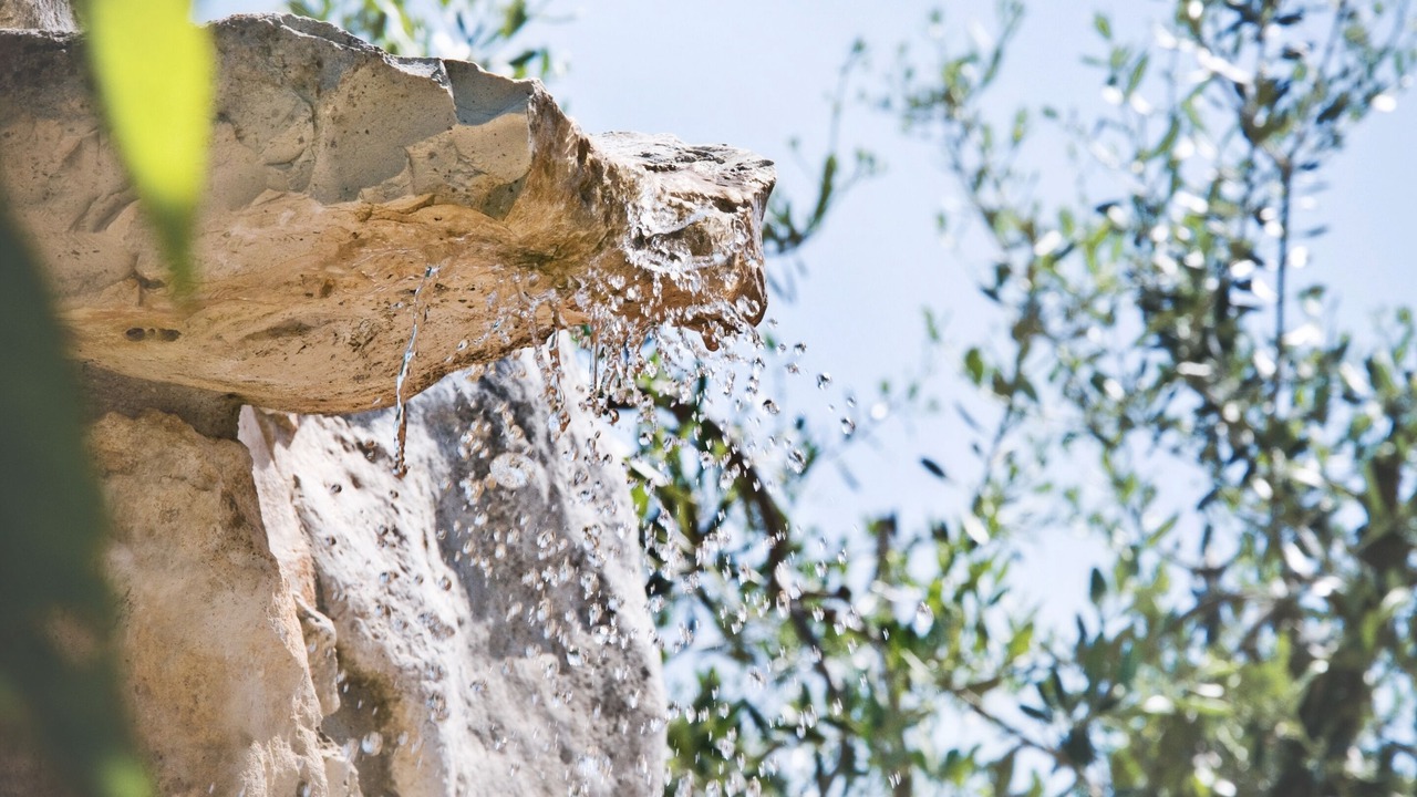 Photo of Outdoor in Martina Franca