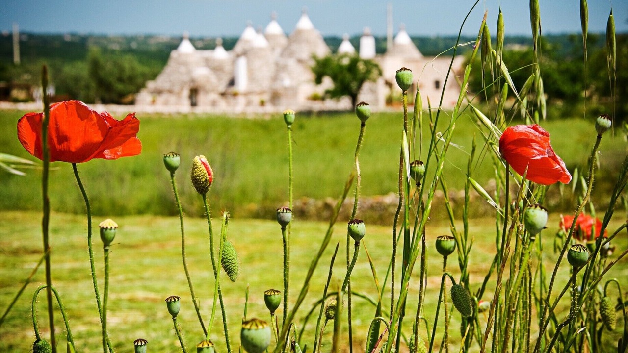 Photo of Outdoor in Martina Franca