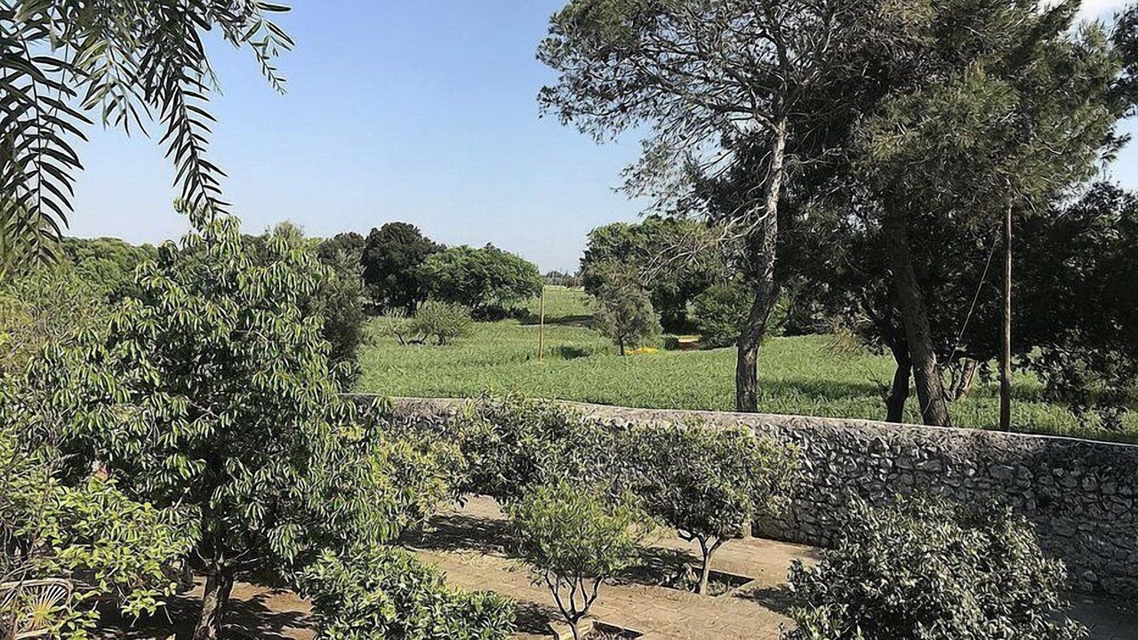 Photo of Outdoor in San Vito dei Normanni
