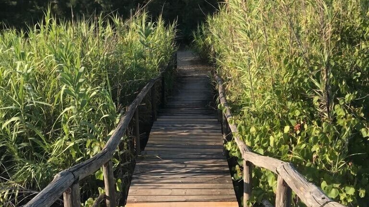 Photo of Outdoor in Manduria