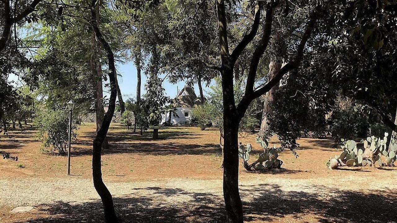 Photo of Outdoor in San Vito dei Normanni