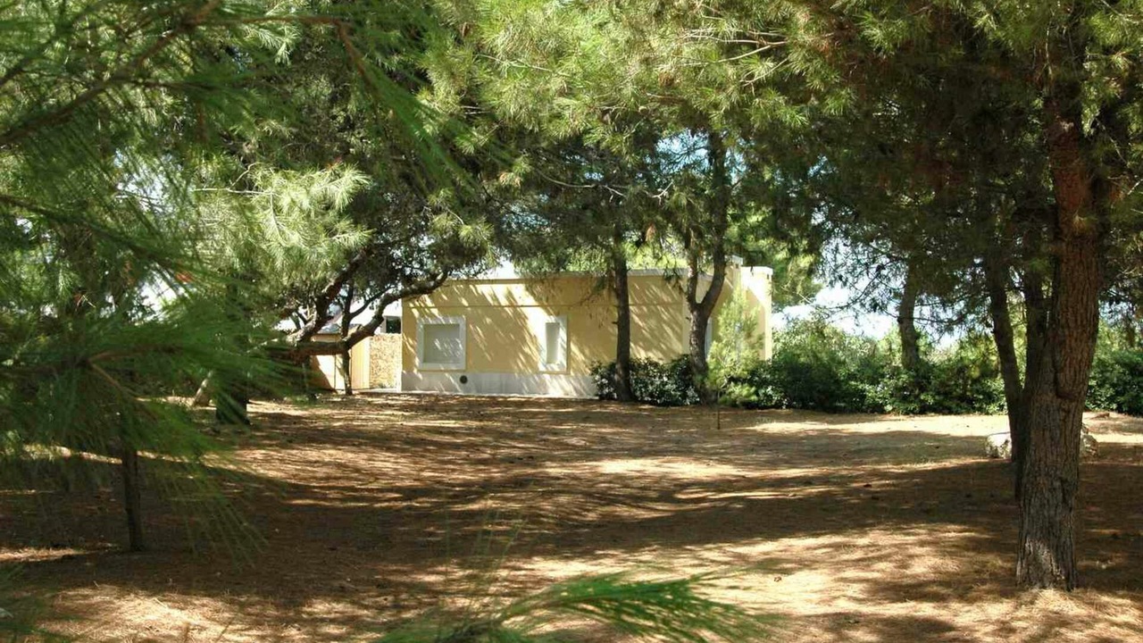 Photo of Outdoor in Punta Prosciutto