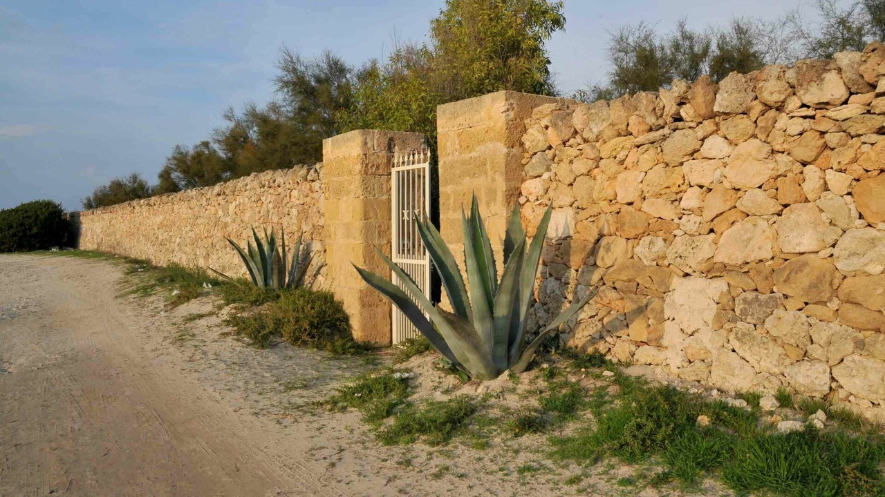 Photo of Outdoor in Punta Prosciutto