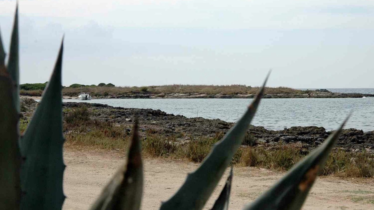 Photo of Outdoor in Punta Prosciutto