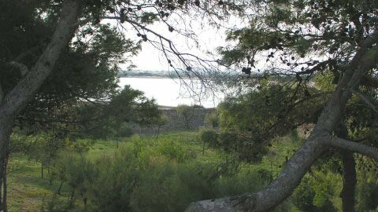 Photo of Outdoor in Punta Prosciutto