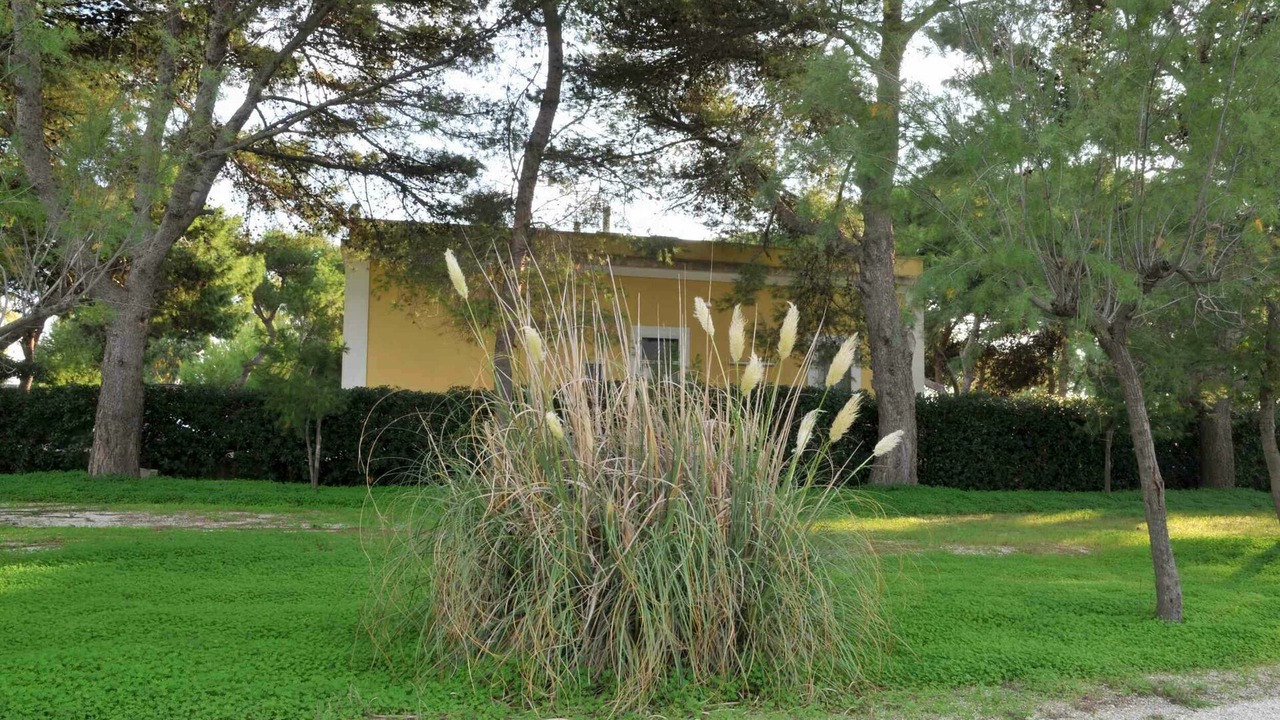 Photo of Outdoor in Punta Prosciutto