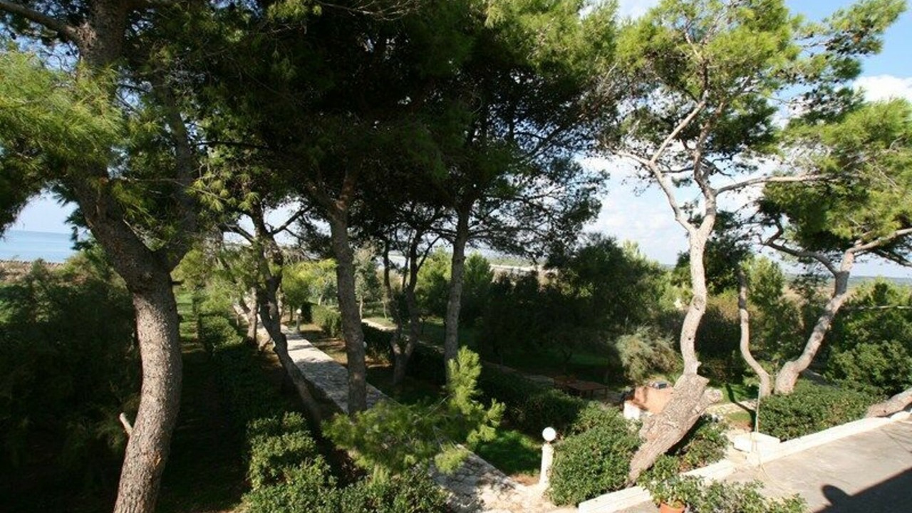 Photo of Outdoor in Punta Prosciutto