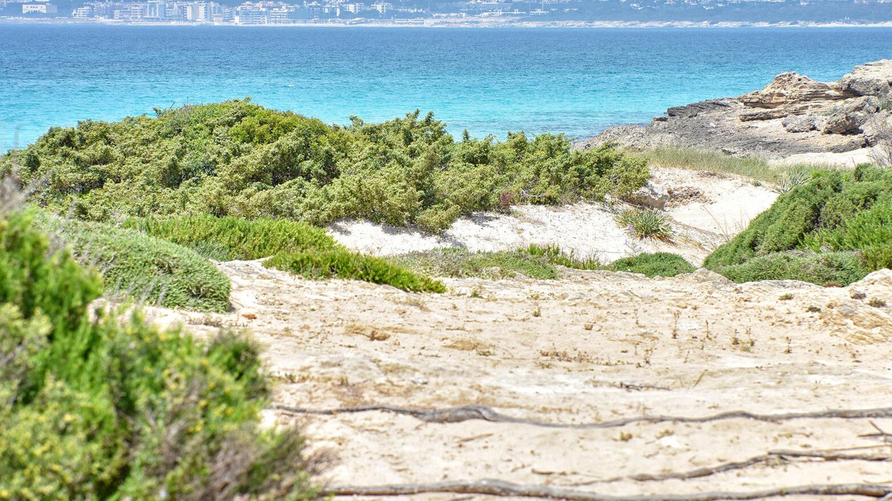 Photo of Others in Baia Verde