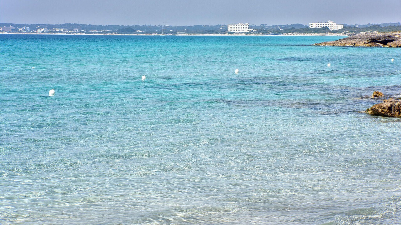 Photo of Others in Baia Verde