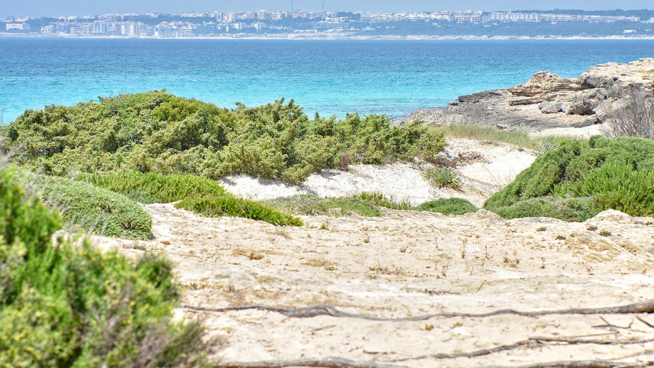 Photo of Others in Baia Verde