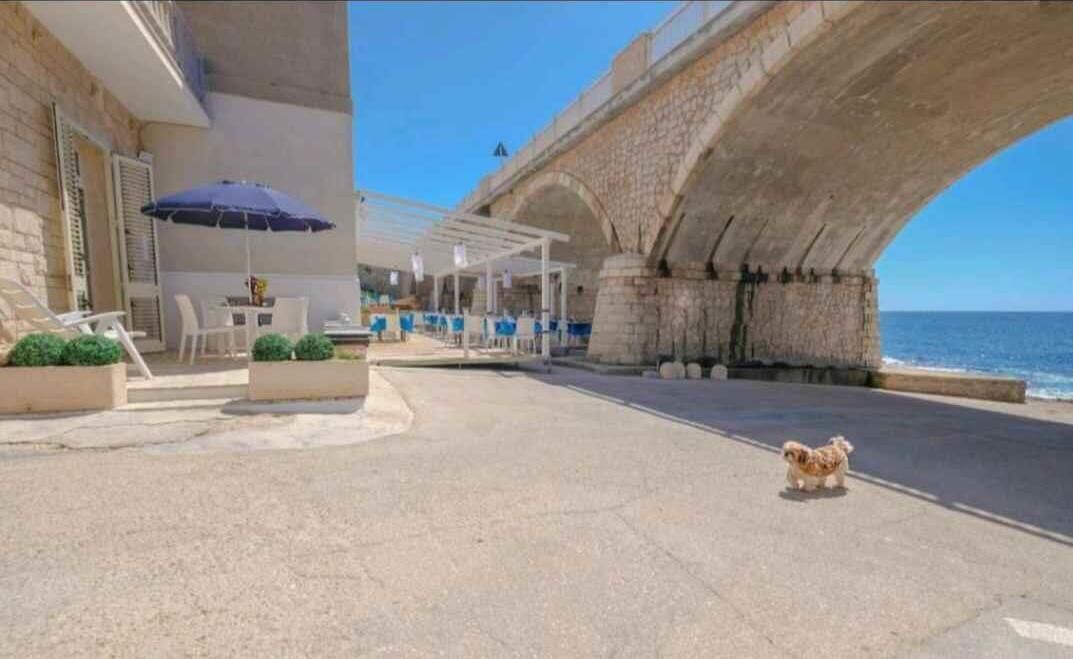 Photo of Outdoor in Santa Maria di Leuca
