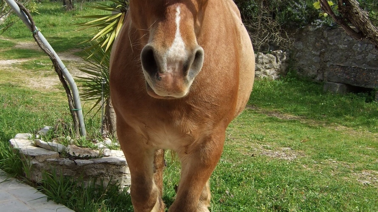Photo of Outdoor in Alberobello