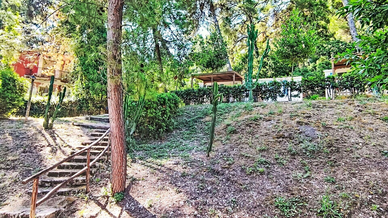 Photo of Outdoor in Vico del Gargano