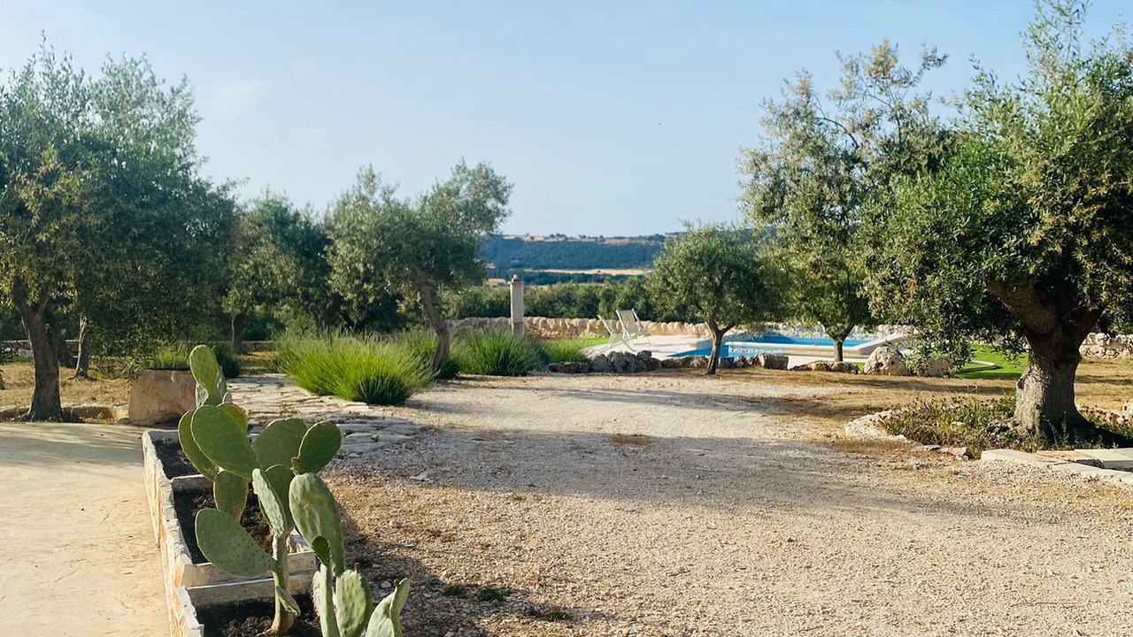 Photo of Outdoor in Alberobello