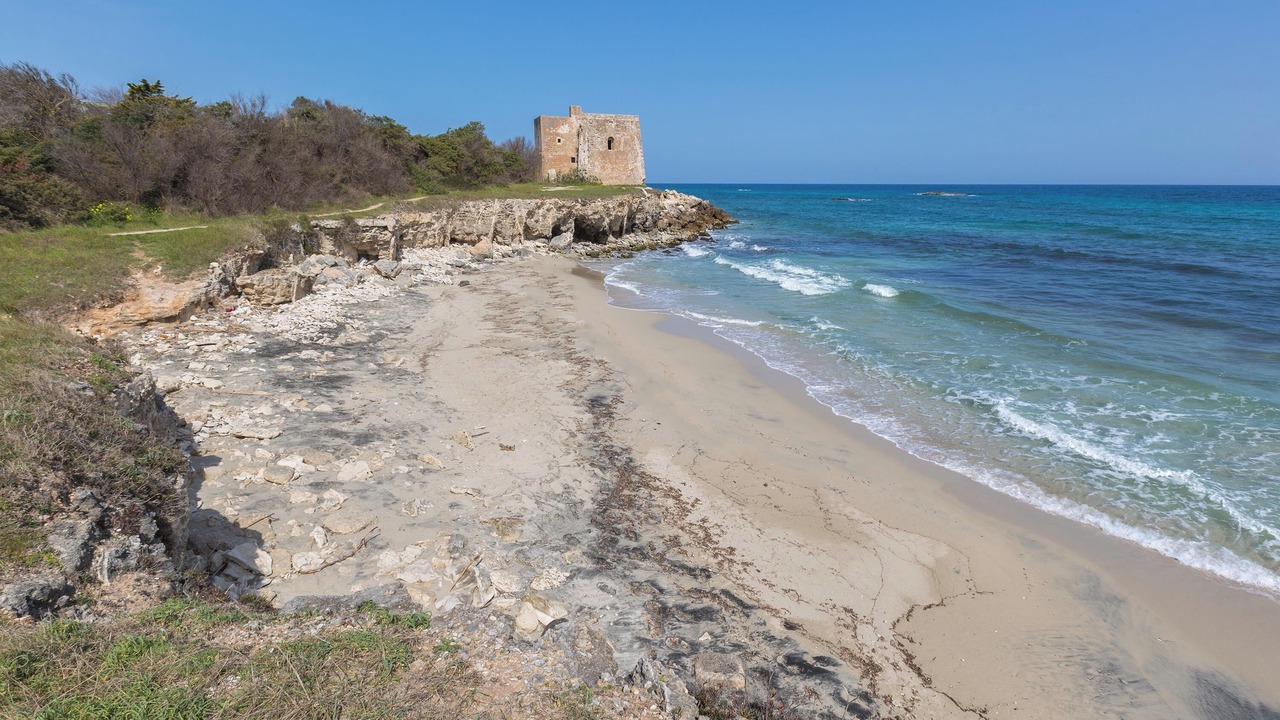 Photo of Others in Torre Specchia Ruggeri