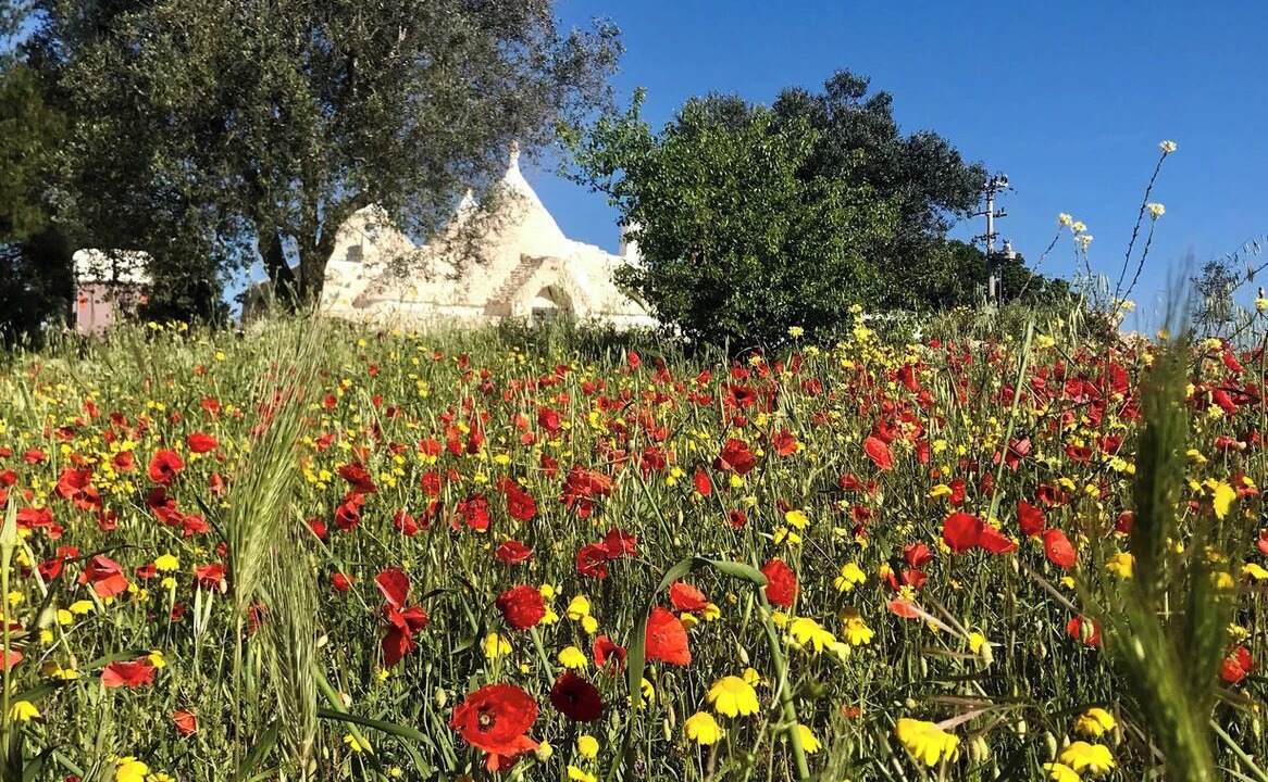 Photo of Outdoor in Ceglie Messapica