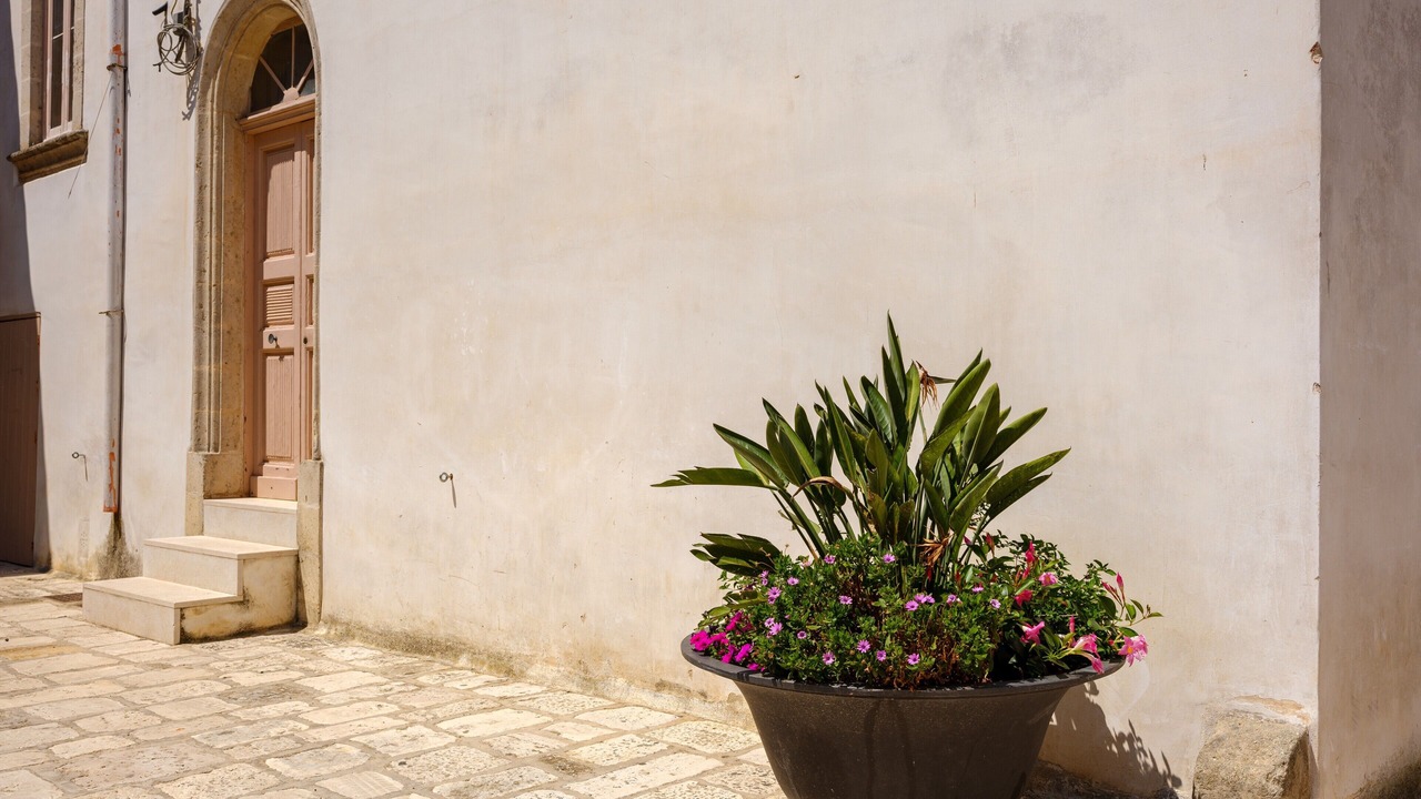 Photo of Outdoor in Maruggio