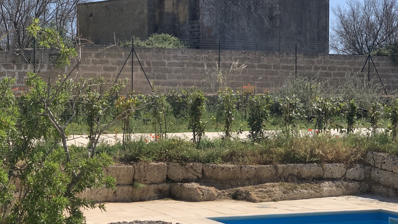 Photo of Outdoor in Novoli