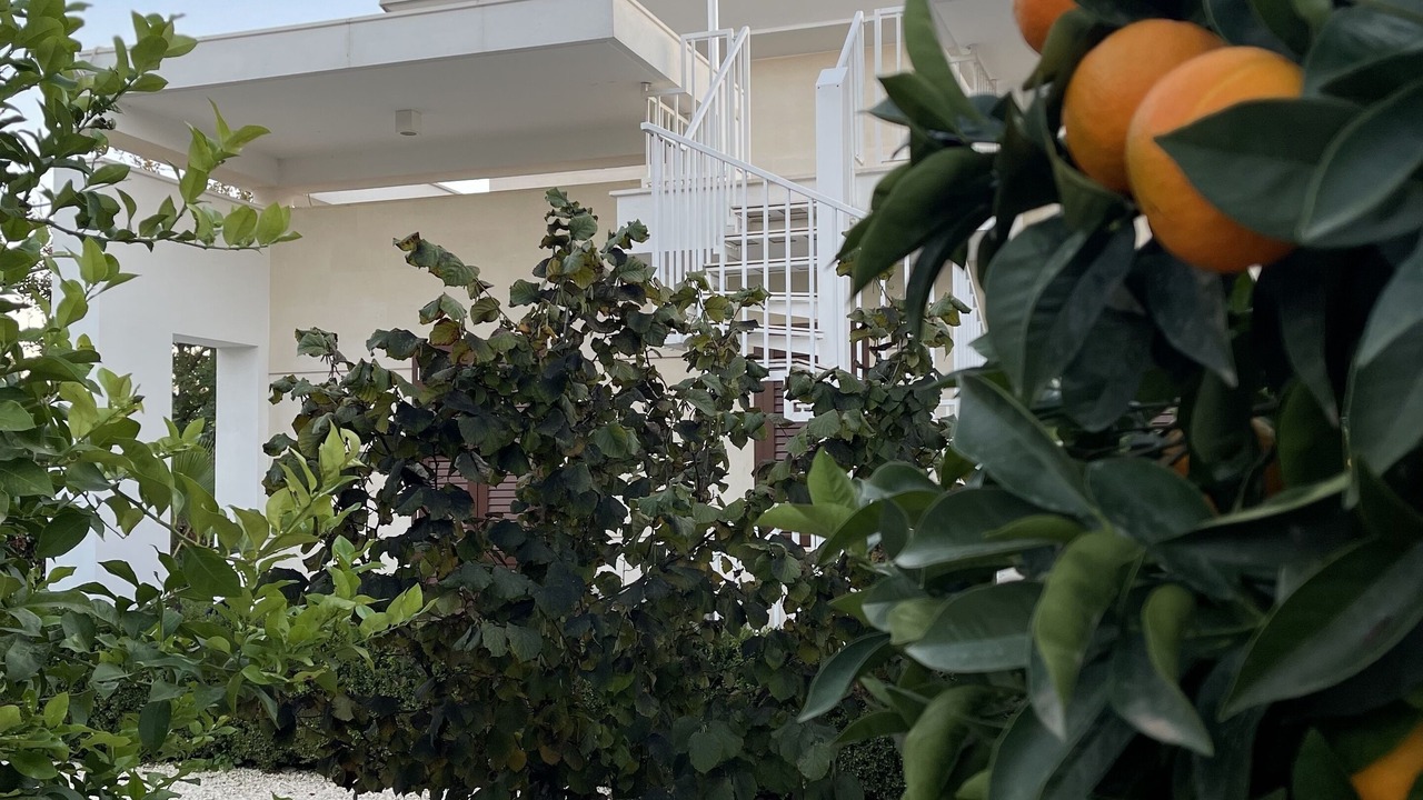 Photo of Outdoor in Bisceglie