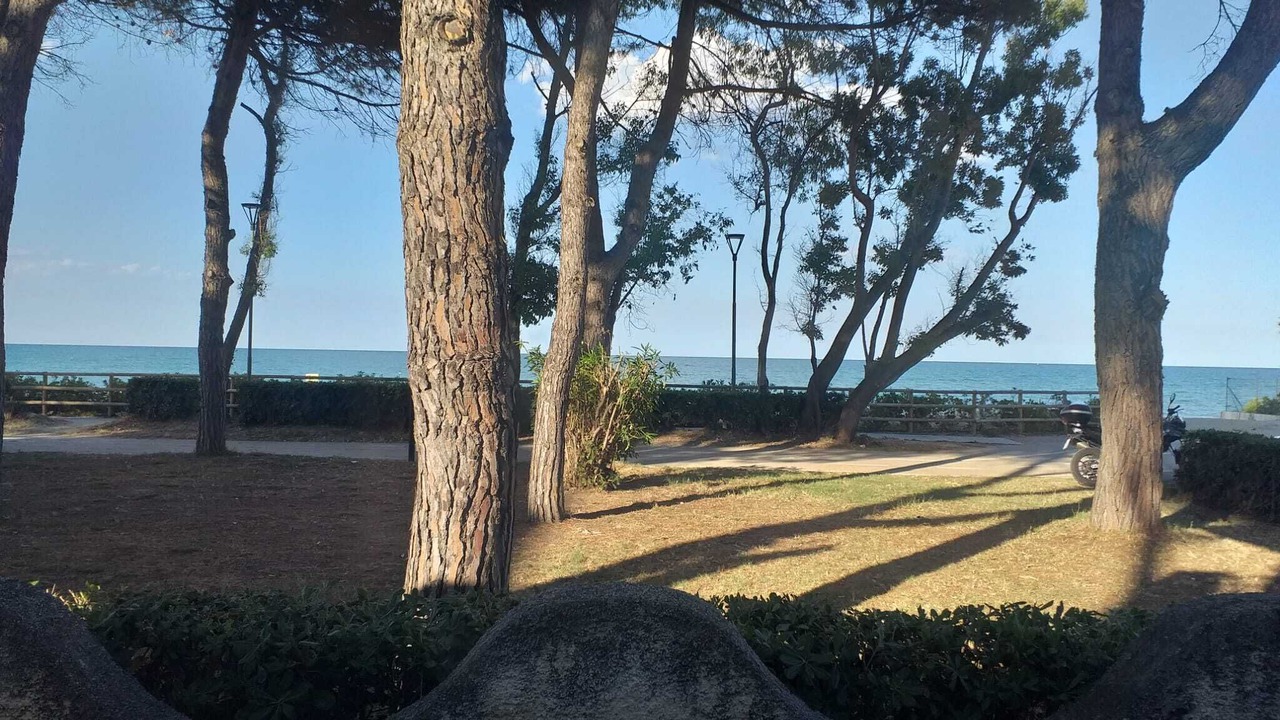 Photo of Outdoor in Pineto