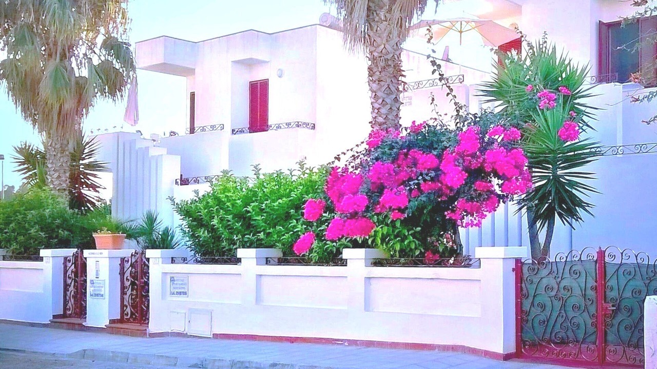 Photo of Outdoor in Lido Marini