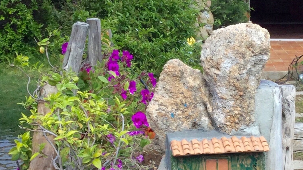 Photo of Outdoor in Poltu Quatu