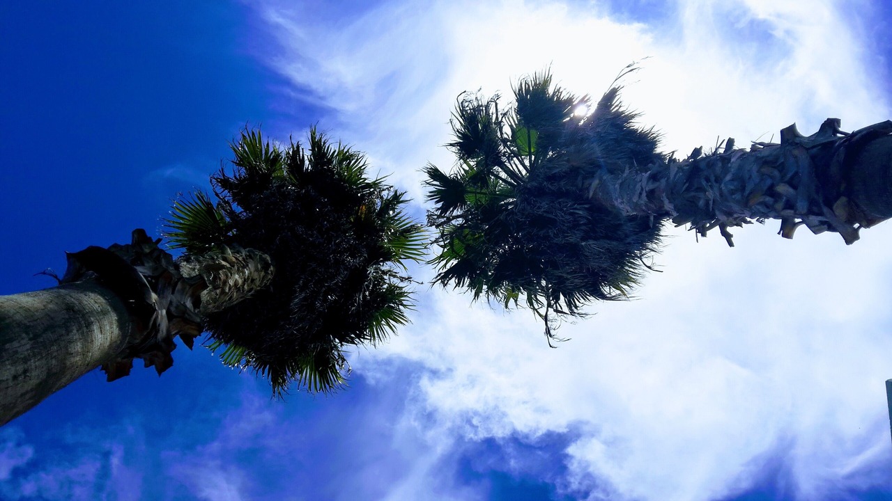 Photo of Outdoor in Torre Chianca