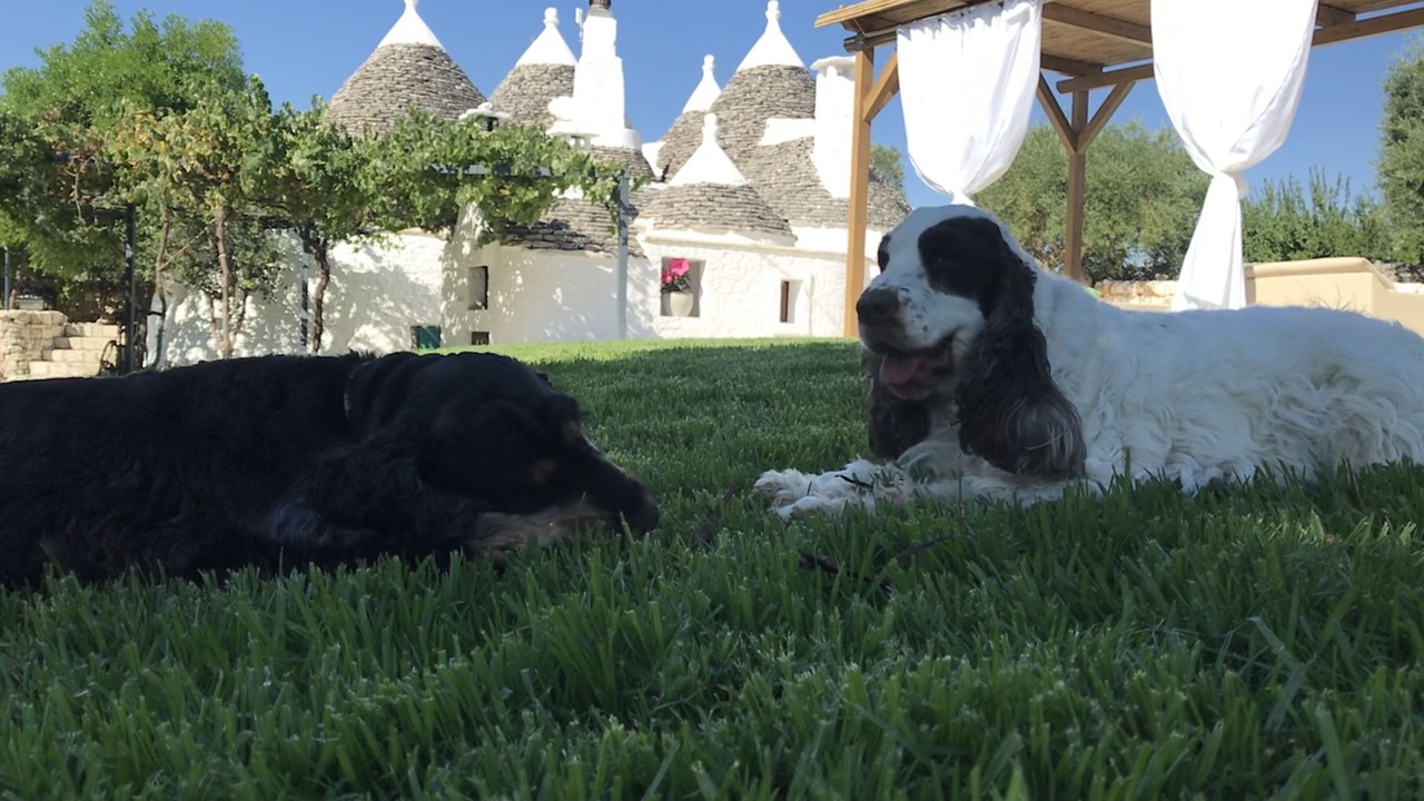 Photo of Outdoor in Martina Franca