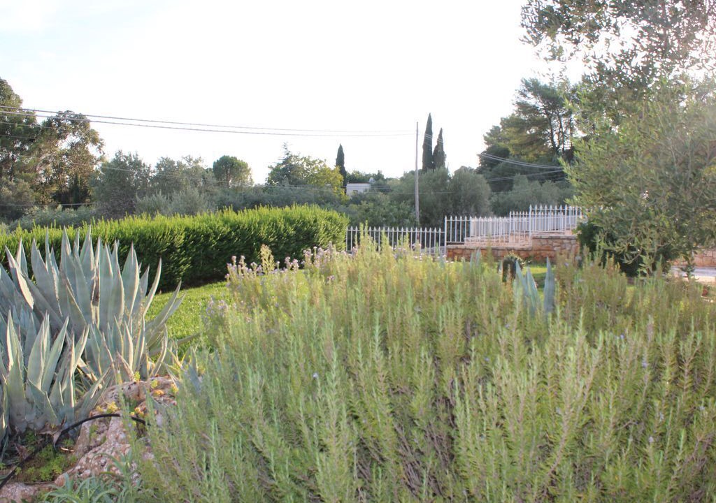 Photo of Outdoor in Alberobello