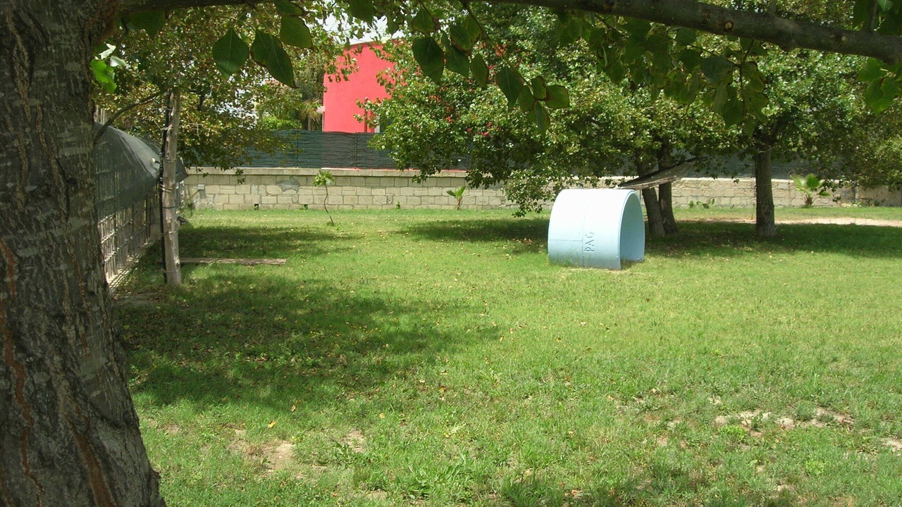 Photo of Outdoor in Avola