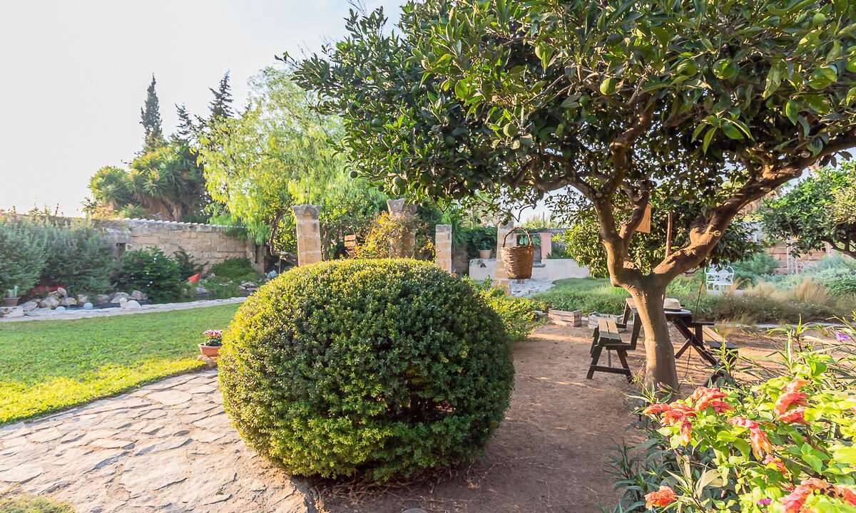 Photo of Outdoor in Il Monte