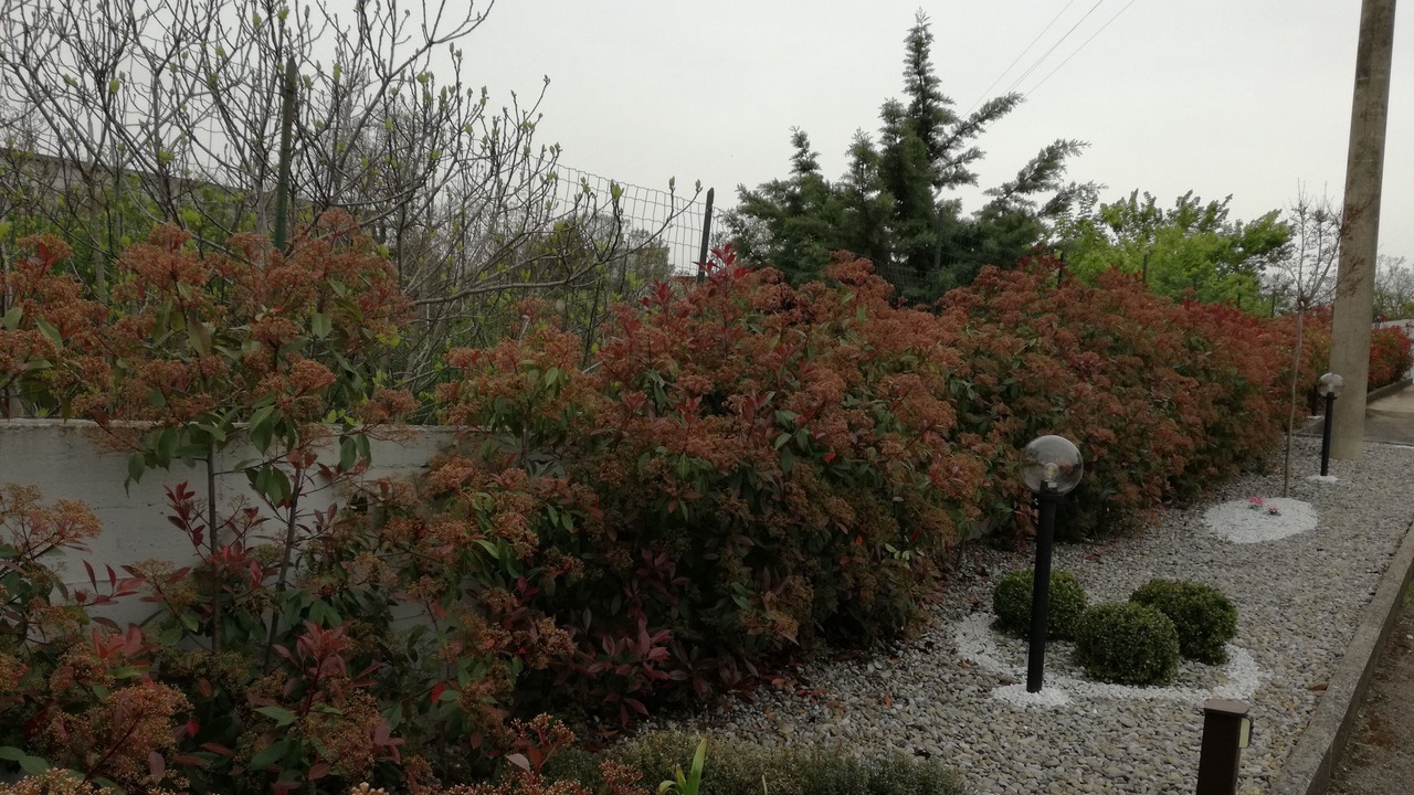 Photo of Outdoor in Santeramo in Colle