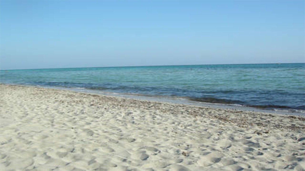 Photo of Others in Marittima