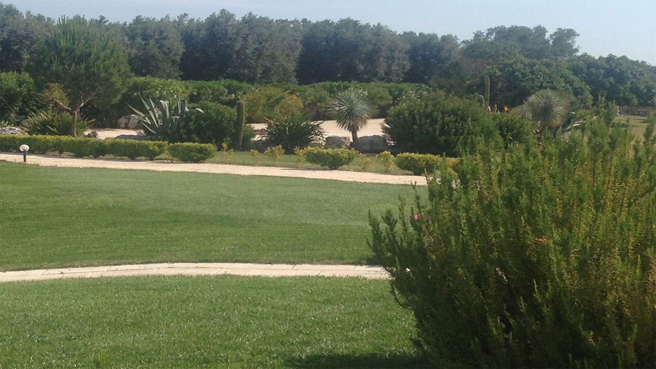 Photo of Outdoor in Marittima
