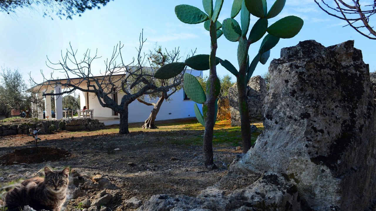 Photo of Outdoor in San Simone