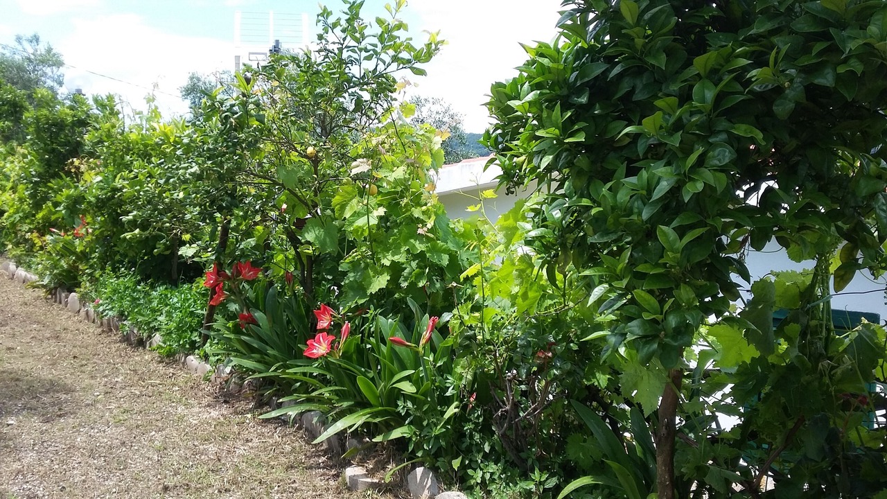 Photo of Outdoor in Peschici
