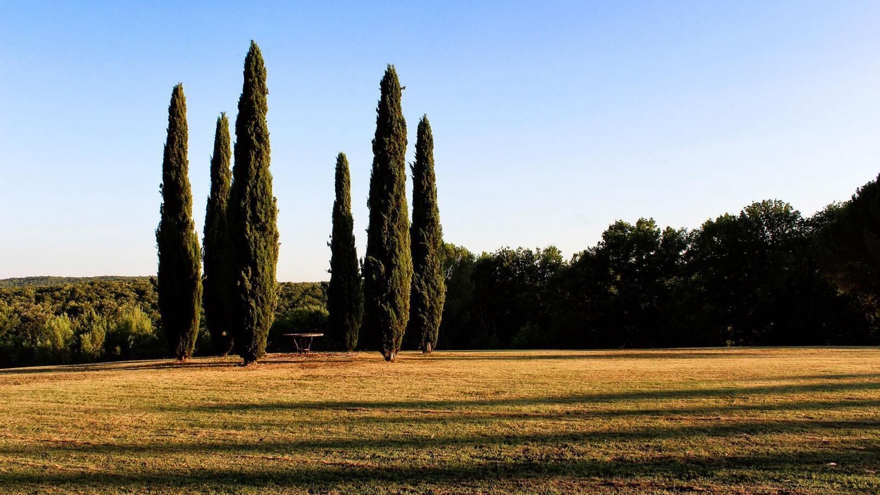 Photo of Outdoor in Bucine