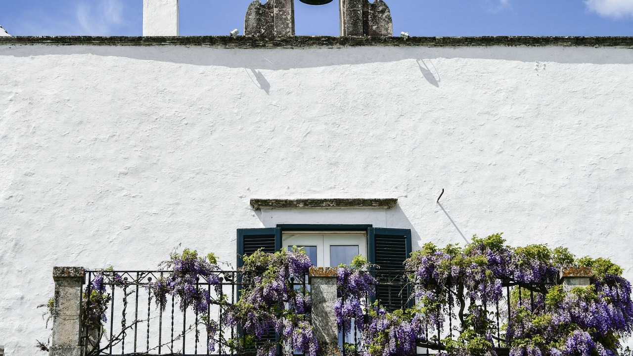 Photo of Outdoor in Martina Franca