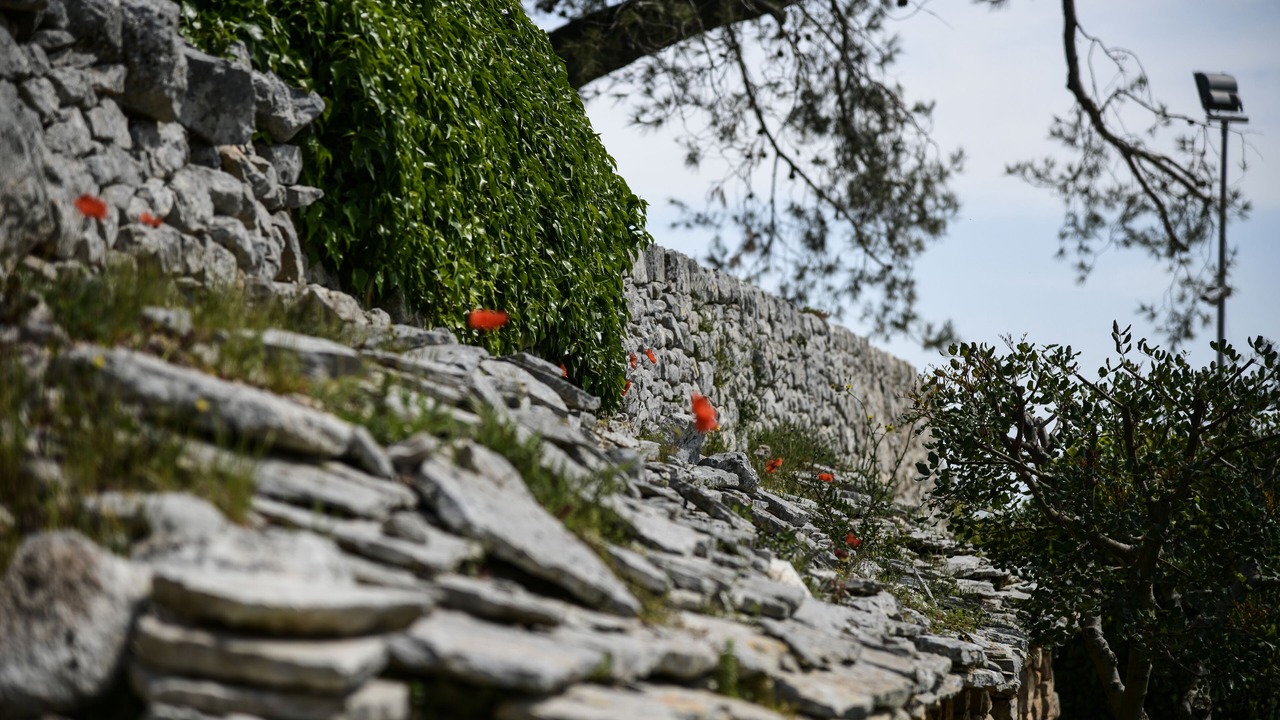 Photo of Outdoor in Martina Franca