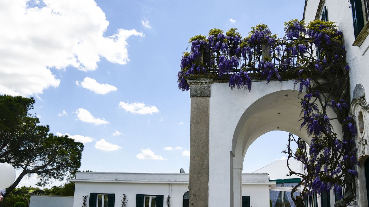 Photo of Outdoor in Martina Franca