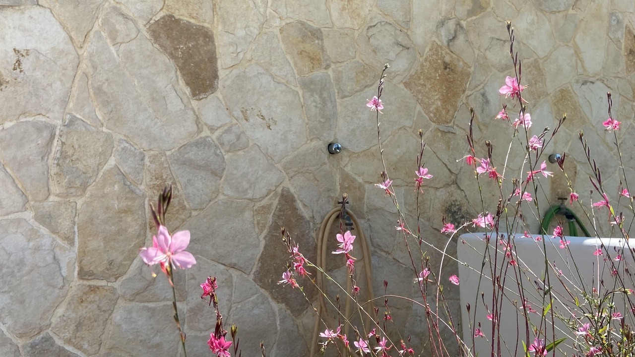 Photo of Outdoor in Baia Verde