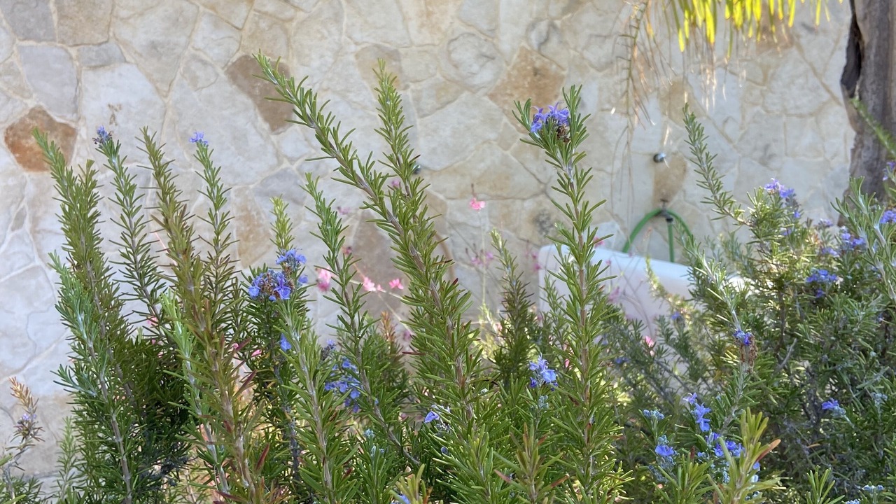 Photo of Outdoor in Baia Verde