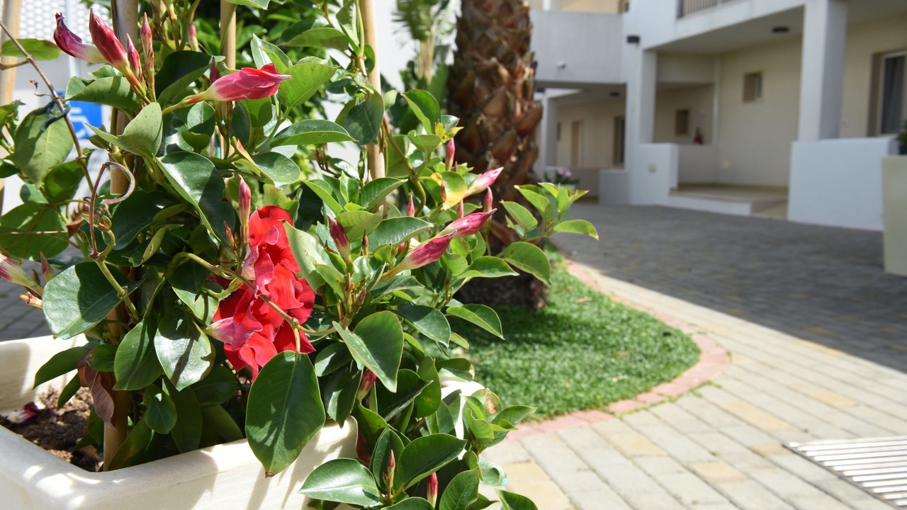 Photo of Outdoor in Torre Santa Sabina