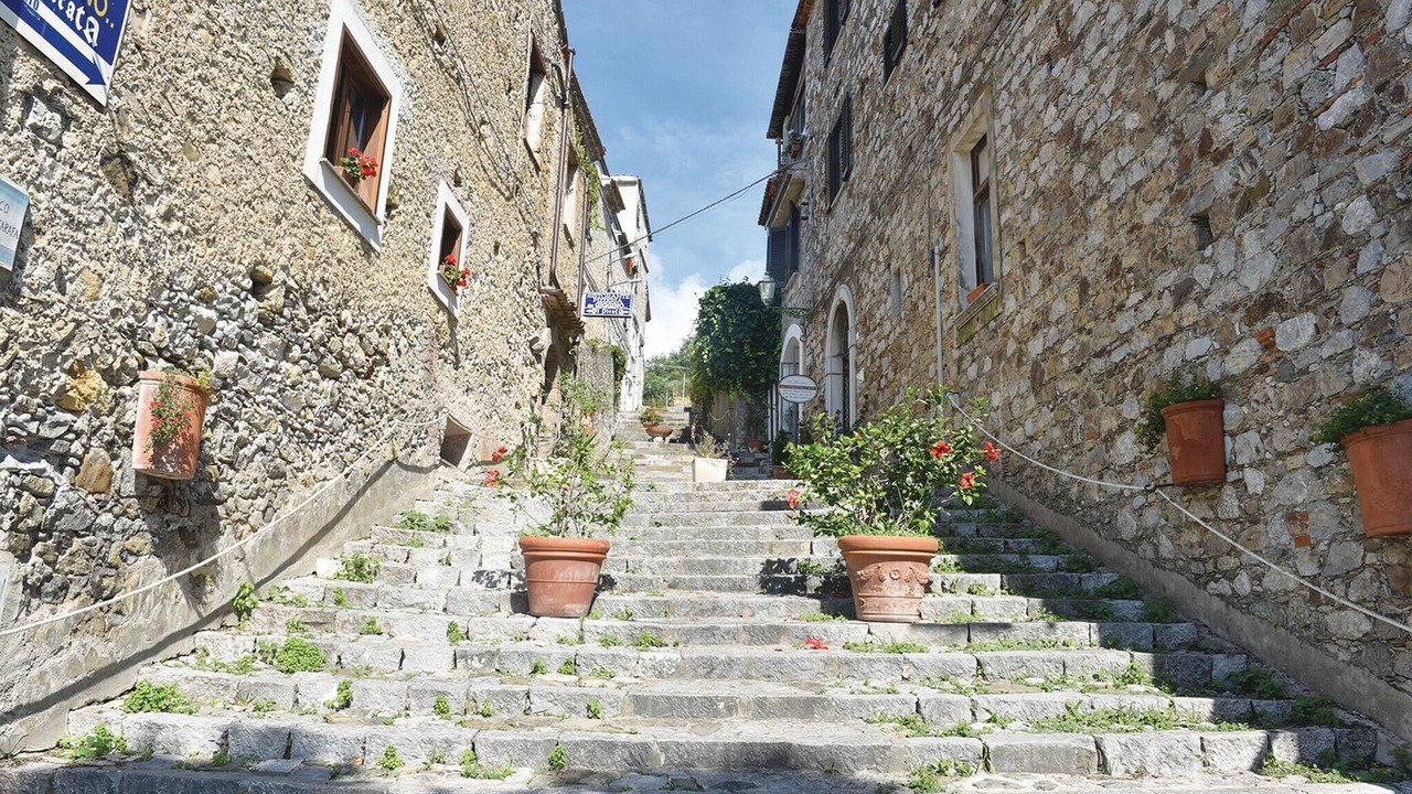 Photo of Others in Scario