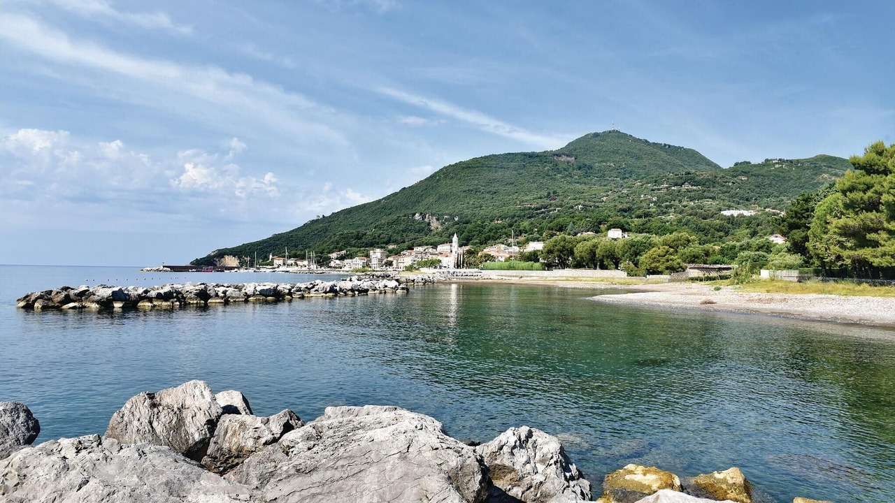 Photo of Others in Scario