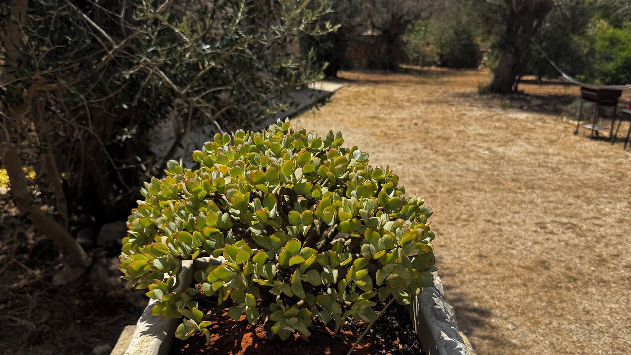 Photo of Outdoor in Patu