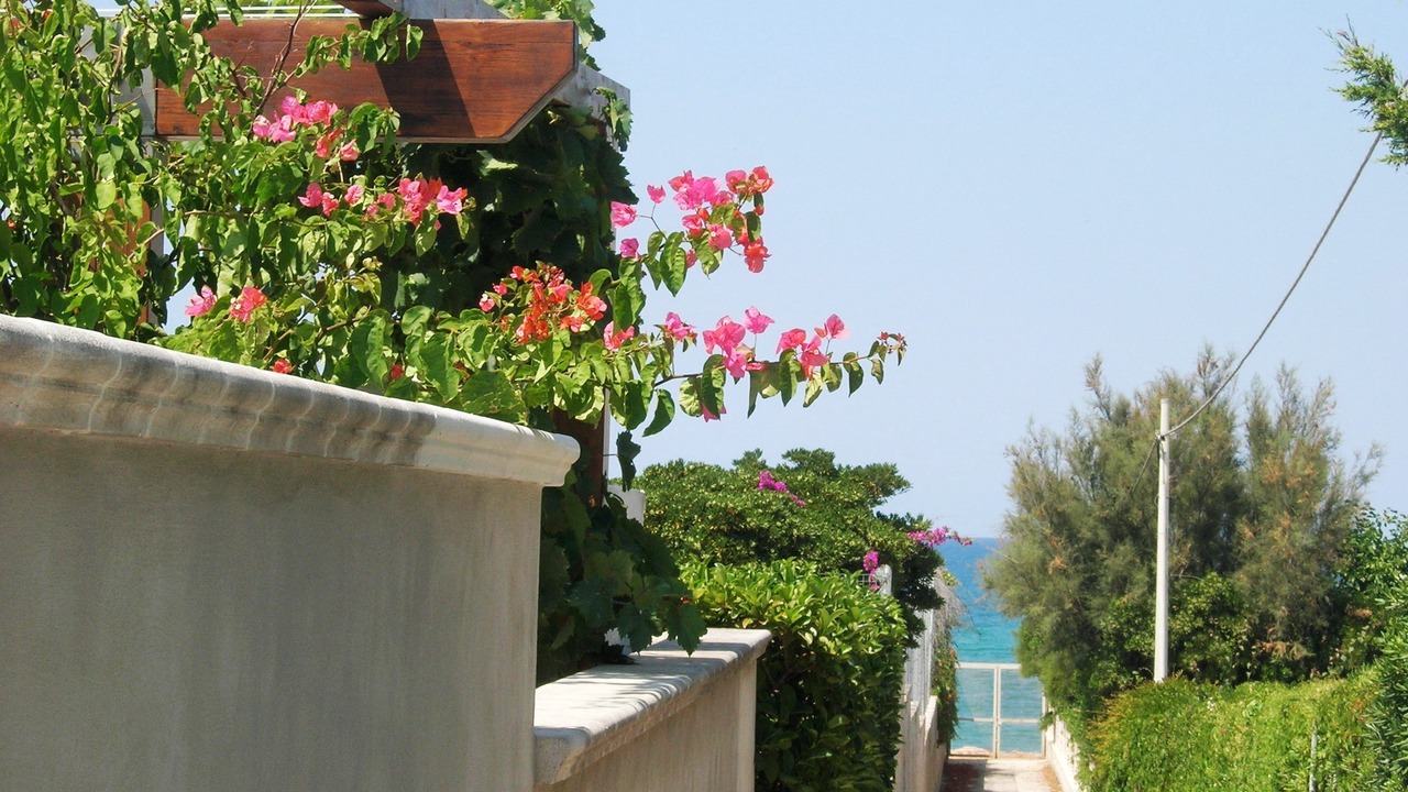 Photo of Outdoor in Torre a Mare