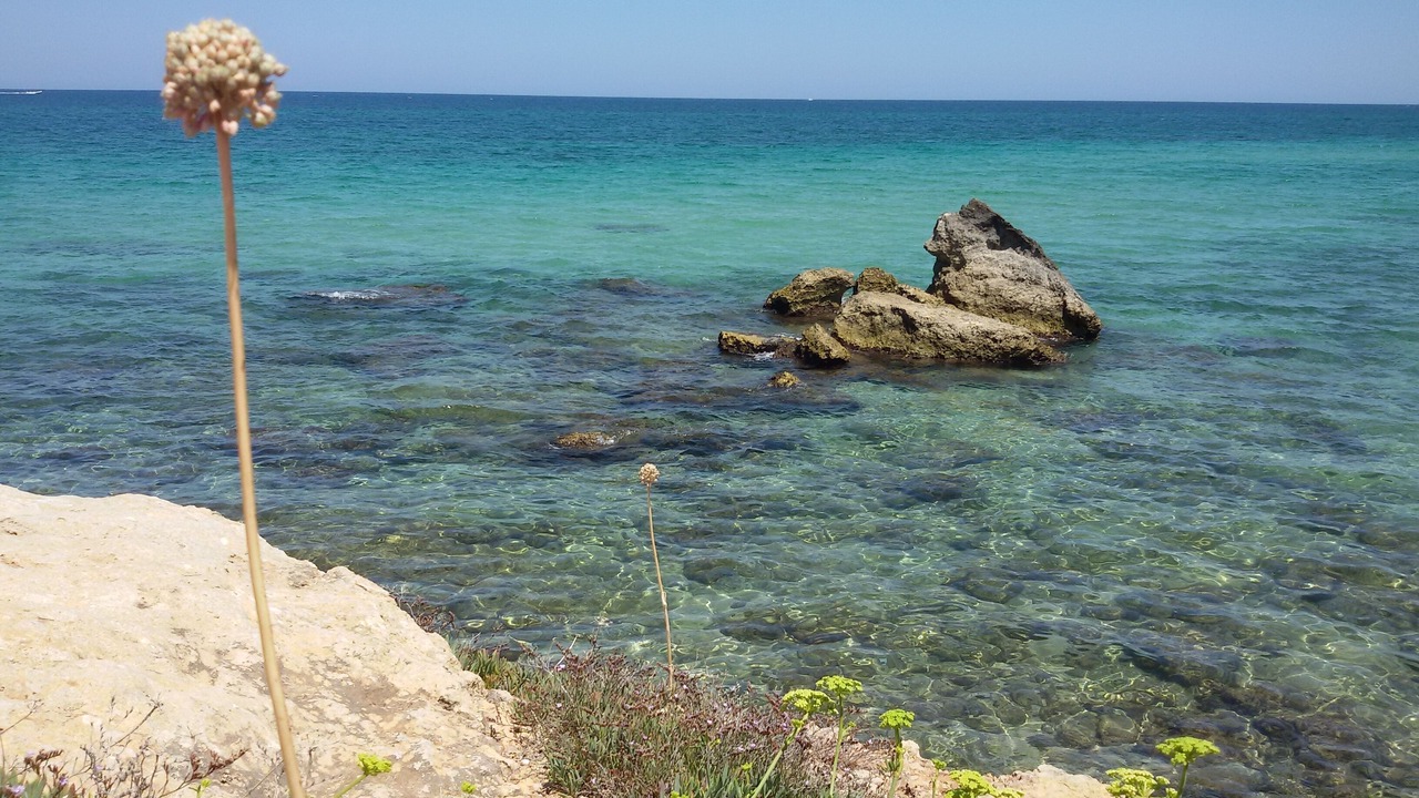 Photo of Others in Torre a Mare